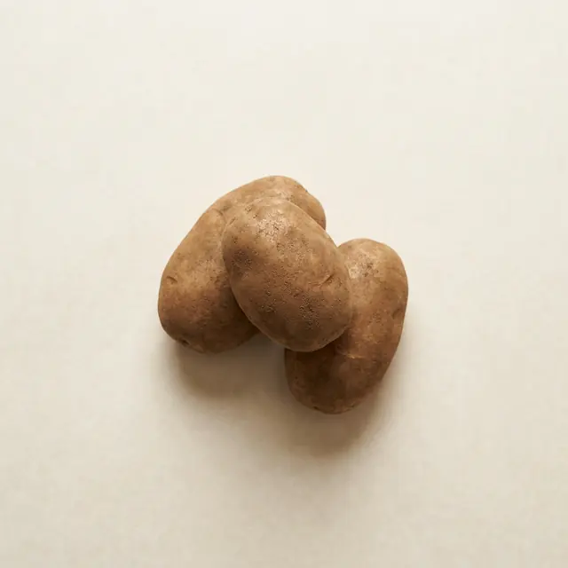 بطاطس